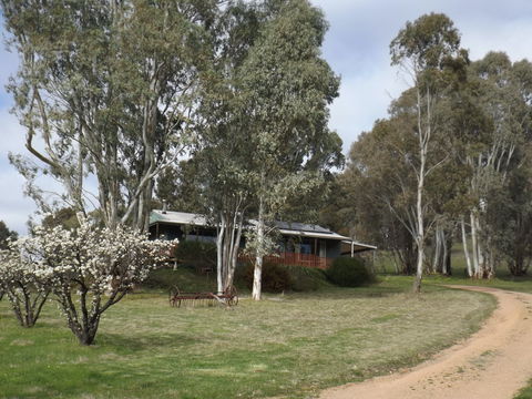 Taralee Orchards - Accommodation Gold Coast 2