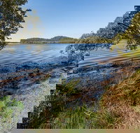 Tattersalls campground - Accommodation Gold Coast