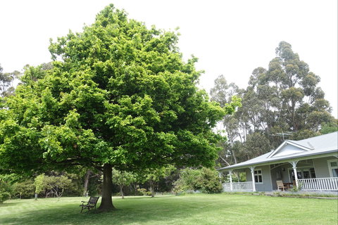 Wavestation - Accommodation Gold Coast 0