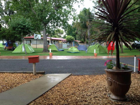 Young Caravan Tourist Park - Accommodation Gold Coast 0