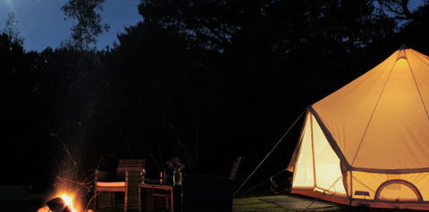 Zeehan Bush Camp - Accommodation Gold Coast 1