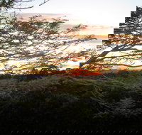 Annie's Place Bed and Breakfast - Accommodation Gold Coast