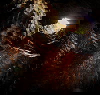 Billy Grace Reserve - Accommodation Gold Coast