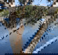 Bumberry Dam - Gold Coast 4U