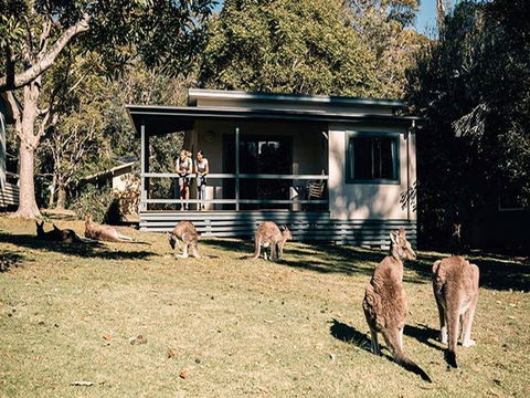 Depot Beach Cabins - Accommodation Gold Coast 0