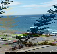 Dolphins 8 - Accommodation Gold Coast