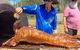 ForknFarm Homestead - thumb 1