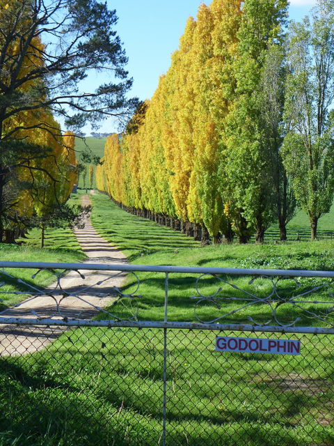Godolphin Country Accommodation - Gold Coast 4U 1