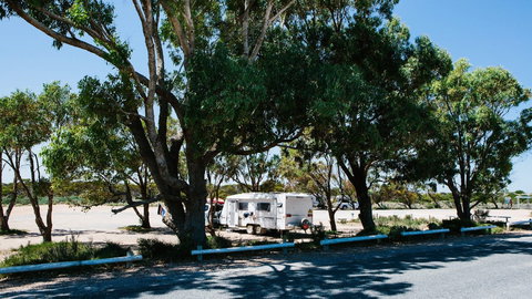 Haslam Campground - Accommodation Gold Coast 2