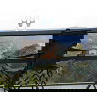 Hatters Hideout Lyres Loft - Accommodation Gold Coast