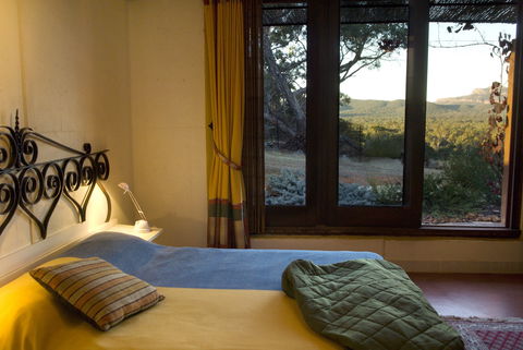 Kangaroos In The Top Paddock - Accommodation Gold Coast 1