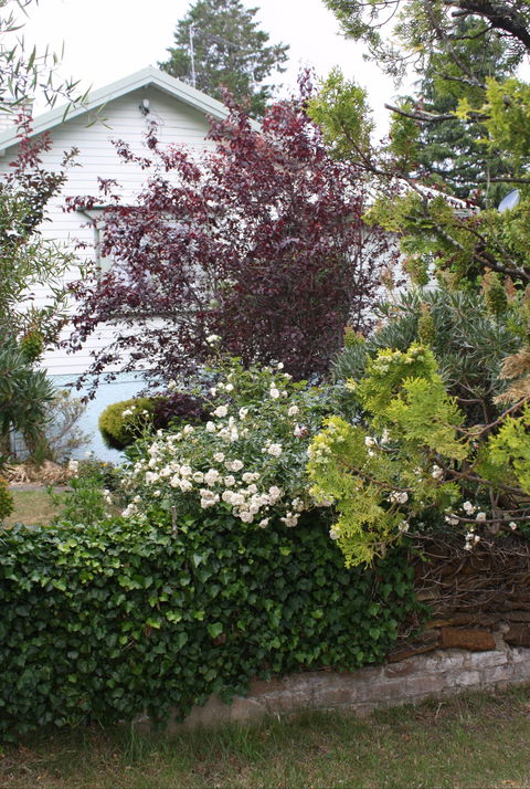 Katoomba Green Gables - Accommodation Gold Coast 1