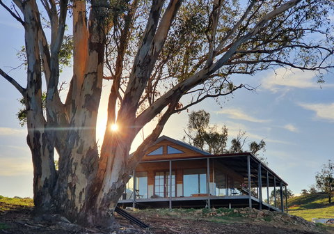 Kestrel Nest EcoHut - Accommodation Gold Coast 0