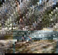 Lemon Tree Flat campground - Accommodation Gold Coast