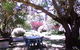 Morse Cottage - thumb 0