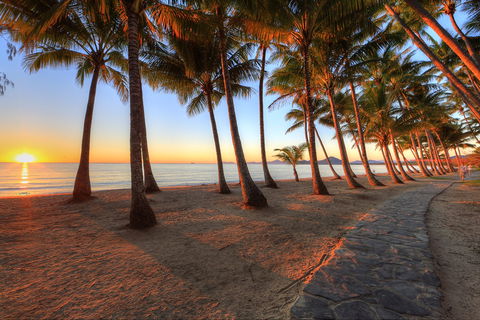 NRMA Palm Cove Holiday Park - Accommodation Gold Coast 0