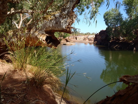 Peedamulla Campground And Cultural Tours - Accommodation Gold Coast 1