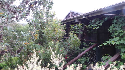 Rachels Retreat - Accommodation Gold Coast 0