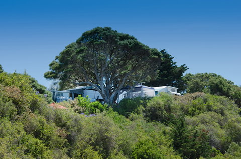 Sorrento Foreshore Camping - Accommodation Gold Coast 2