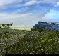 Taraki Lodge - Accommodation Gold Coast