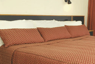 Margarets Forest Holiday Apartments - Gold Coast 4U