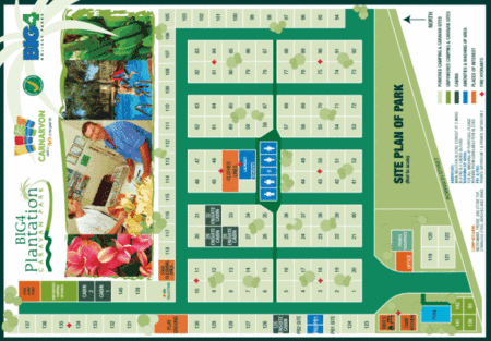 BIG4 Plantation Caravan Park - Accommodation Gold Coast 2