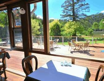 Forest Lodge Resort - Accommodation Gold Coast 2