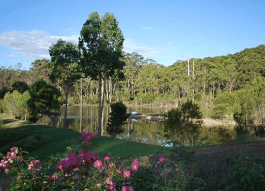 Forest Lodge Resort - Accommodation Gold Coast 3
