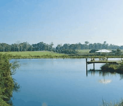 Forest Rise Eco Retreat - Accommodation Gold Coast