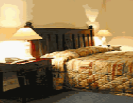 Comfort Inn Treetop Walk - Accommodation Gold Coast