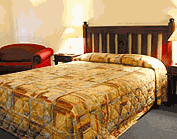 Comfort Inn Treetop Walk - thumb 2