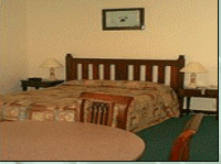 Comfort Inn Treetop Walk - Accommodation Gold Coast 3