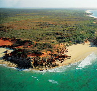 Eco Beach Wilderness Retreat - Accommodation Gold Coast 2