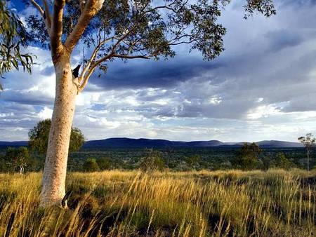 Karijini Eco Retreat - Accommodation Gold Coast 5