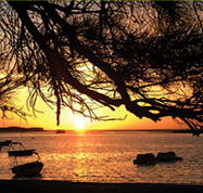 Pelican's Nest - Accommodation Gold Coast