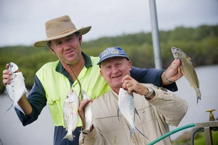 Terrace Reserve Holiday Park - Accommodation Gold Coast 1