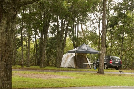 Terrace Reserve Holiday Park - Accommodation Gold Coast 3