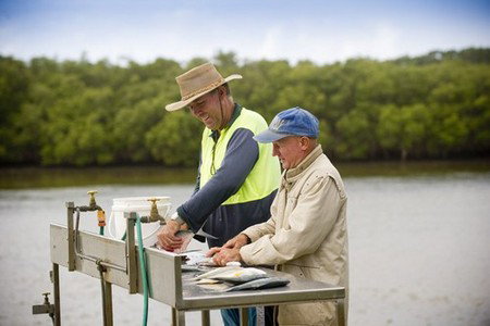 Terrace Reserve Holiday Park - Accommodation Gold Coast 5