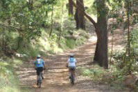 Craigmhor Mountain Retreat - Accommodation Gold Coast 2