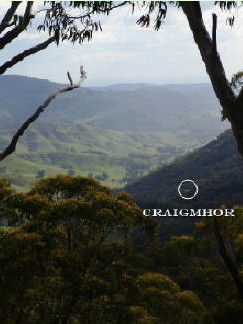 Craigmhor Mountain Retreat - Accommodation Gold Coast 3