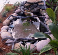 Equal Balance Bed and Breakfast - Accommodation Gold Coast
