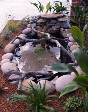 Equal Balance Bed And Breakfast - Accommodation Gold Coast 0