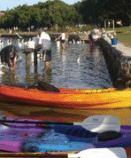 Turner Caravan Park - Accommodation Gold Coast 1