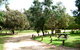 Gracetown Caravan Park - thumb 1