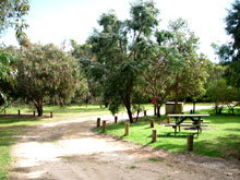 Gracetown Caravan Park - Accommodation Gold Coast 1