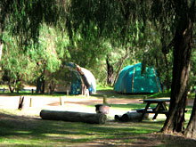 Gracetown Caravan Park - Accommodation Gold Coast 2