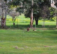 Chalets on Stoneville - Accommodation Gold Coast