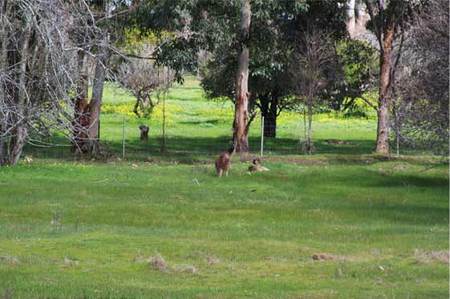 Chalets On Stoneville - 1 Gold Coast 0