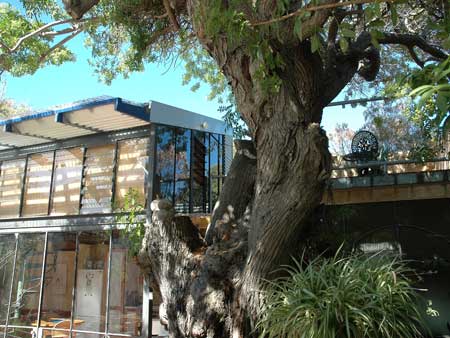 The Painted Fish - Accommodation Gold Coast 3