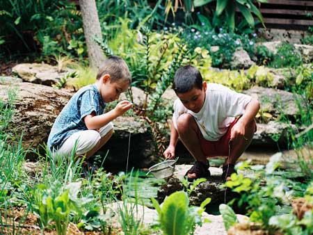 The Painted Fish - Accommodation Gold Coast 4